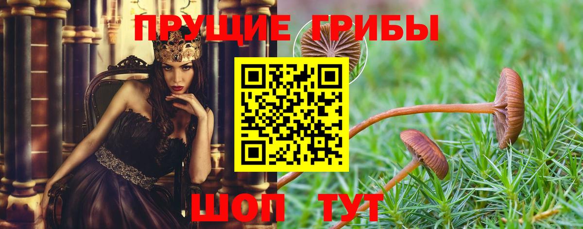 Галлюциногенные грибы ЛСД  Вход с VPN  Галлюциногенные грибы Psilocybe  Уварово 